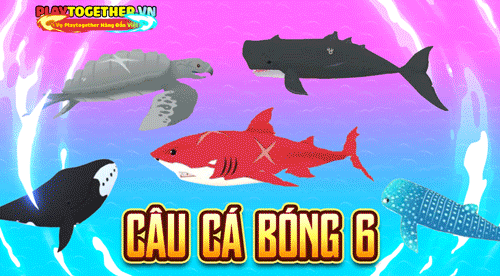 Săn Cá Bóng 6
