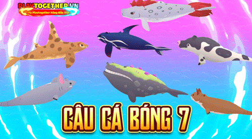 Săn Cá Bóng 7